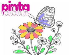 leikur Pinta Colour