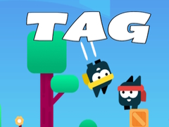leikur Tag