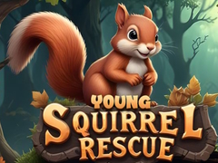 leikur Young Squirrel Rescue
