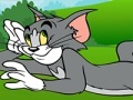 leikur Tom and Jerry ATV Adventure