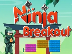 leikur Ninja Breakout