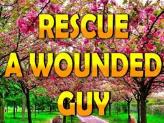 leikur Rescue A Wounded Guy
