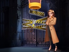 leikur Pin Detective