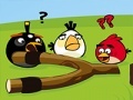 leikur Angry Birds Go Crazy