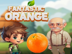 leikur Fantastic Orange