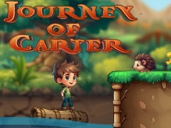 leikur Journey Of Carter