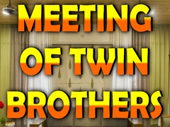 leikur Wow Meeting of Twin Brothers