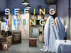 leikur Seeing Things