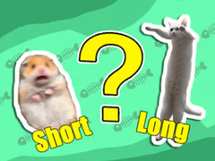 leikur Kids Quiz: Shortest And Longest