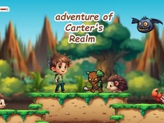 leikur Adventure of Carter's Realm