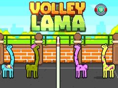 leikur Volley Lama