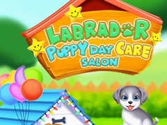 leikur Labrador Puppy Daycare Salon