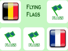 leikur Flying Flags