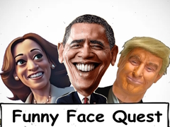 leikur Funny Face Quest