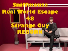 leikur Real World Escape 48 Strange Guy
