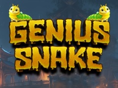 leikur Genius Snake