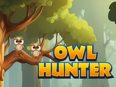 leikur Owl Hunter