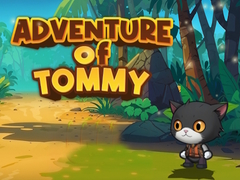 leikur Advanture Of Tommy