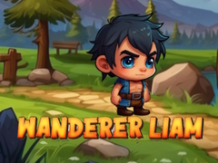 leikur Wanderer Liam