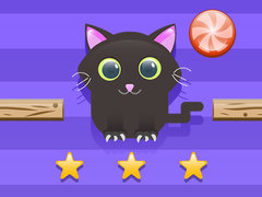 leikur Cat Challenge