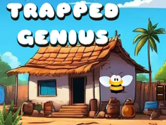 leikur Trapped Genius