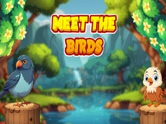 leikur Meet The Birds 
