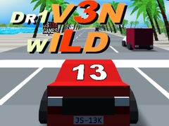leikur Dr1v3n Wild