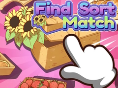 leikur Find Sort Match