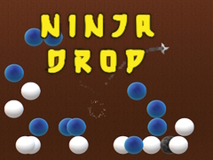 leikur Ninja Drop