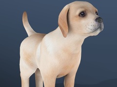 leikur IDLE Pet