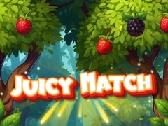 leikur Juicy Match