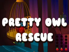 leikur Pretty Owl Rescue