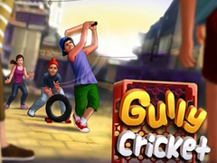 leikur Gully Cricket