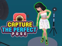 leikur Capture the Perfect Pose 