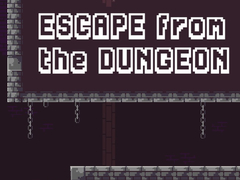 leikur Escape From The Dungeon