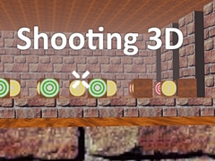 leikur Shooting 3D