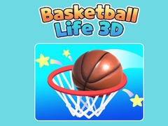 leikur Basketball Life 3D