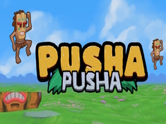 leikur Pusha Pusha