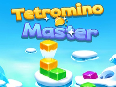 leikur Tetromino Master