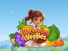 leikur Harvesting Veggies