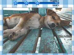 leikur Puzzle: What a Twist!