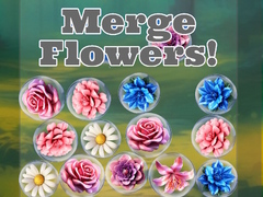 leikur Merge Flowers!