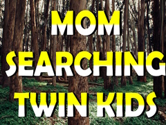leikur Mom Searching Twin Kids