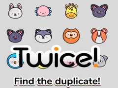 leikur Twice! Find the Duplicate!