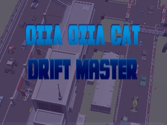 leikur Oiia Oiia Cat Drift Master