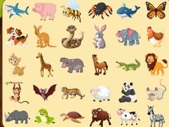 leikur Discover Animals