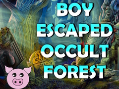 leikur Boy Escaped Occult Forest