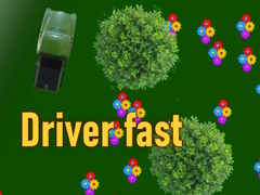 leikur Driver fast