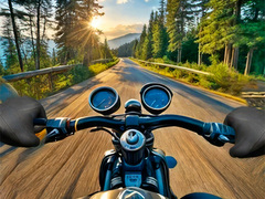 leikur Motorcycle Racer: Road Mayhem