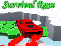 leikur Survival Race